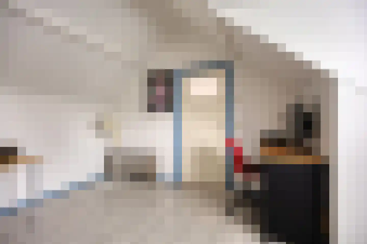 Kleefsestraat 5 Uden thumbnail 27