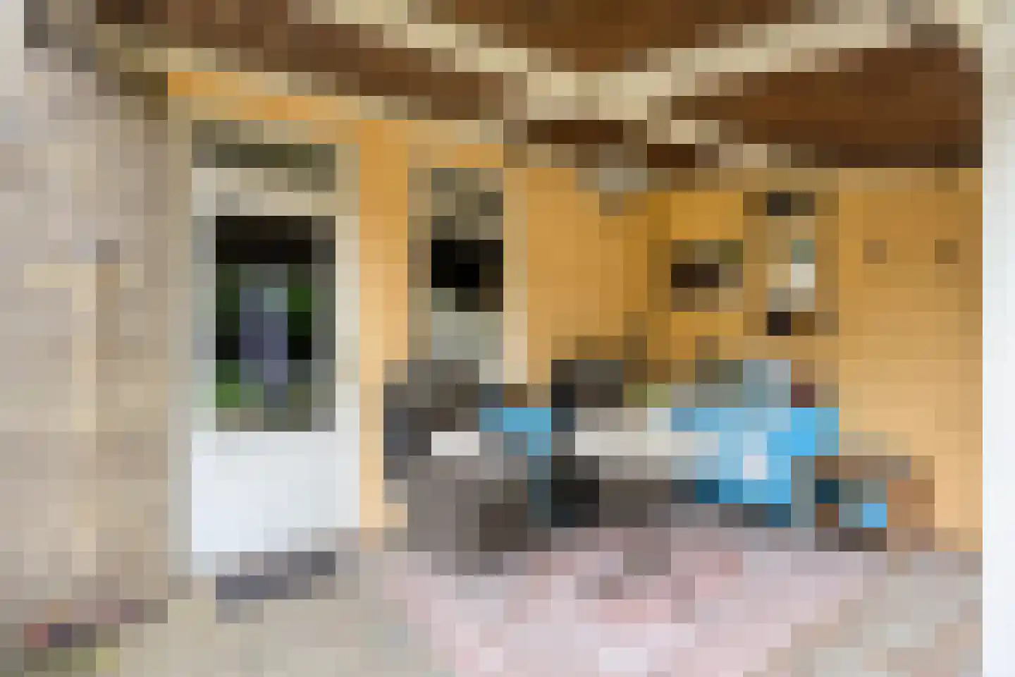Kleefsestraat 5 Uden thumbnail 28