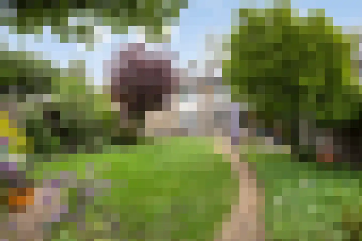 Kleefsestraat 5 Uden thumbnail 31