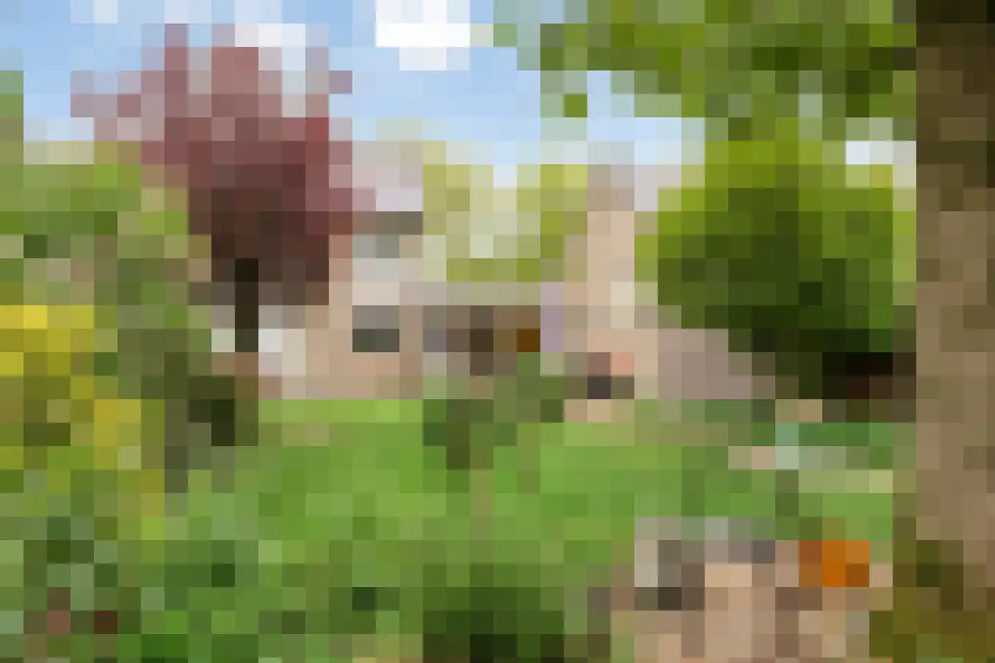 Kleefsestraat 5 Uden thumbnail 32
