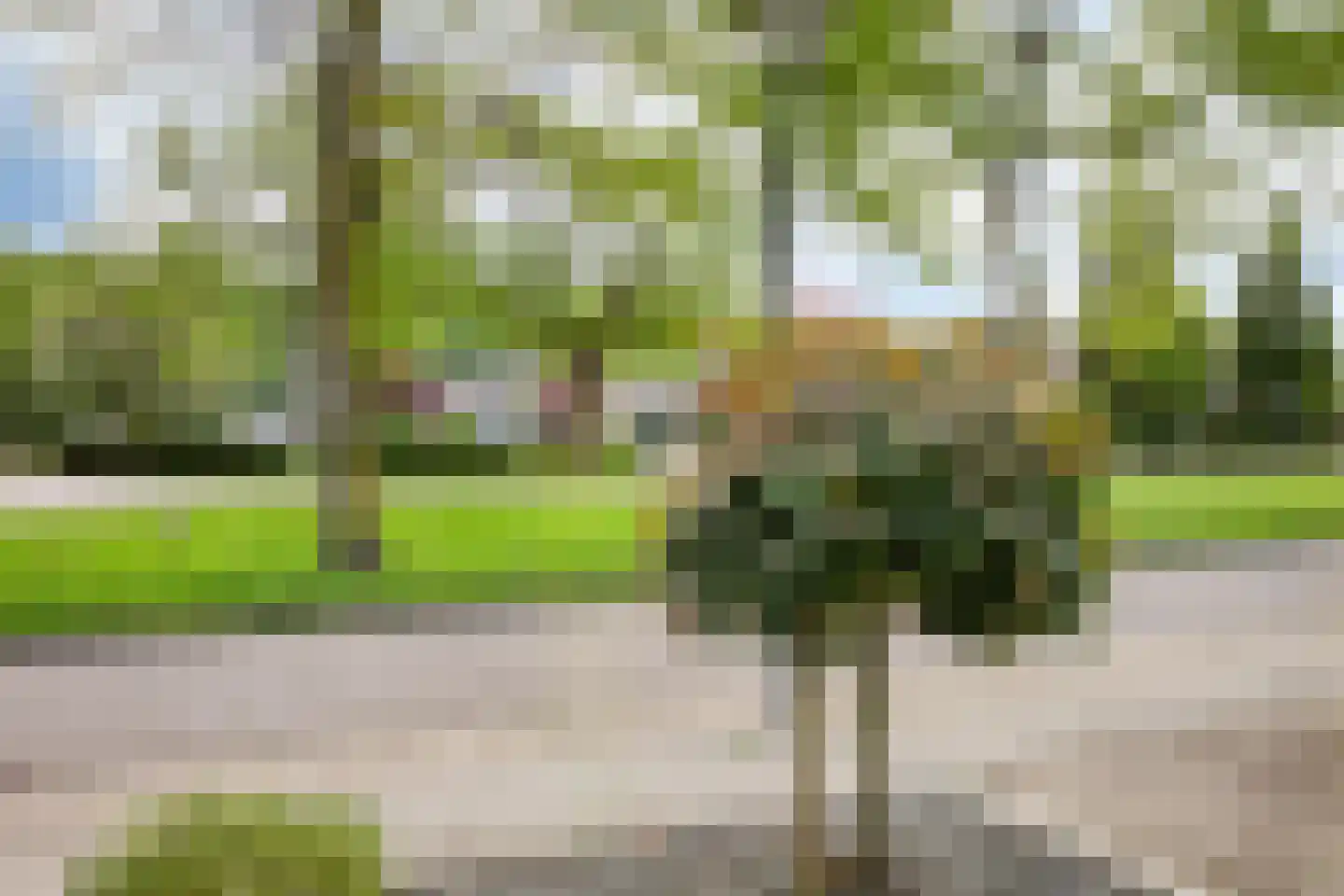 Kleefsestraat 5 Uden thumbnail 34
