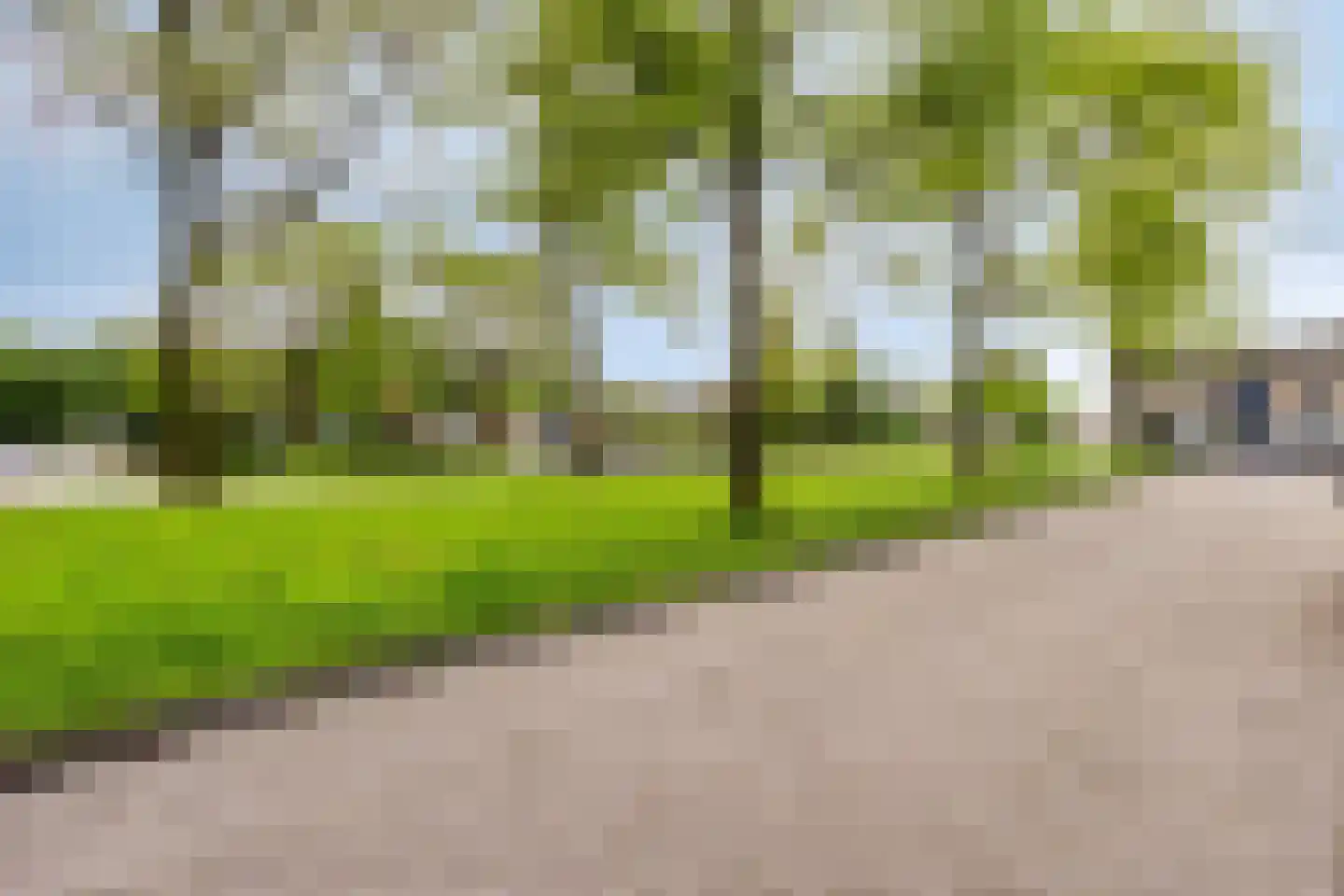 Kleefsestraat 5 Uden thumbnail 39