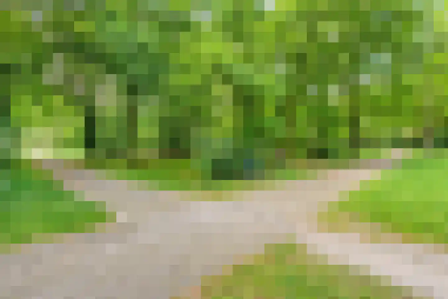 Kleefsestraat 5 Uden thumbnail 43