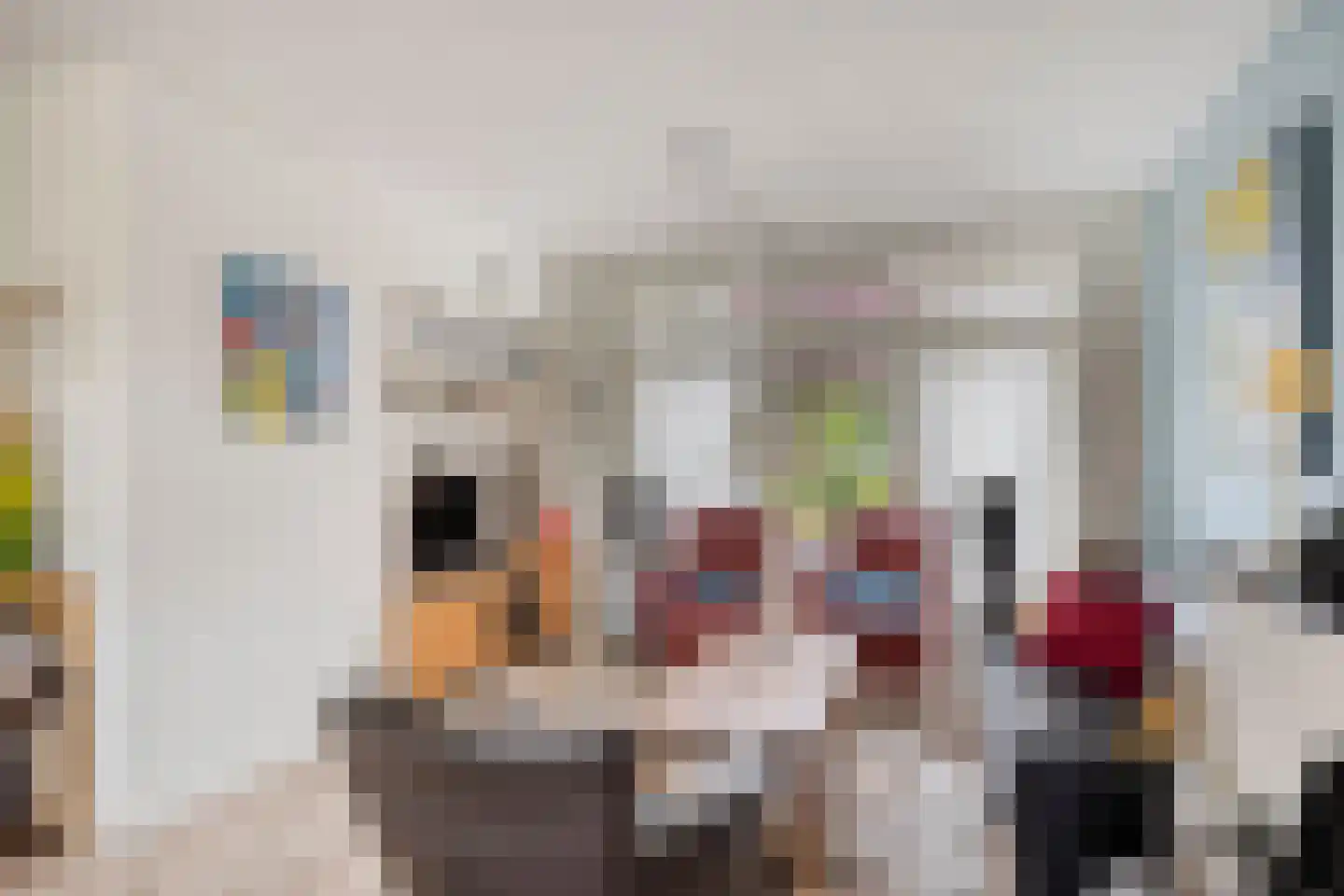 Kleefsestraat 5 Uden thumbnail 8