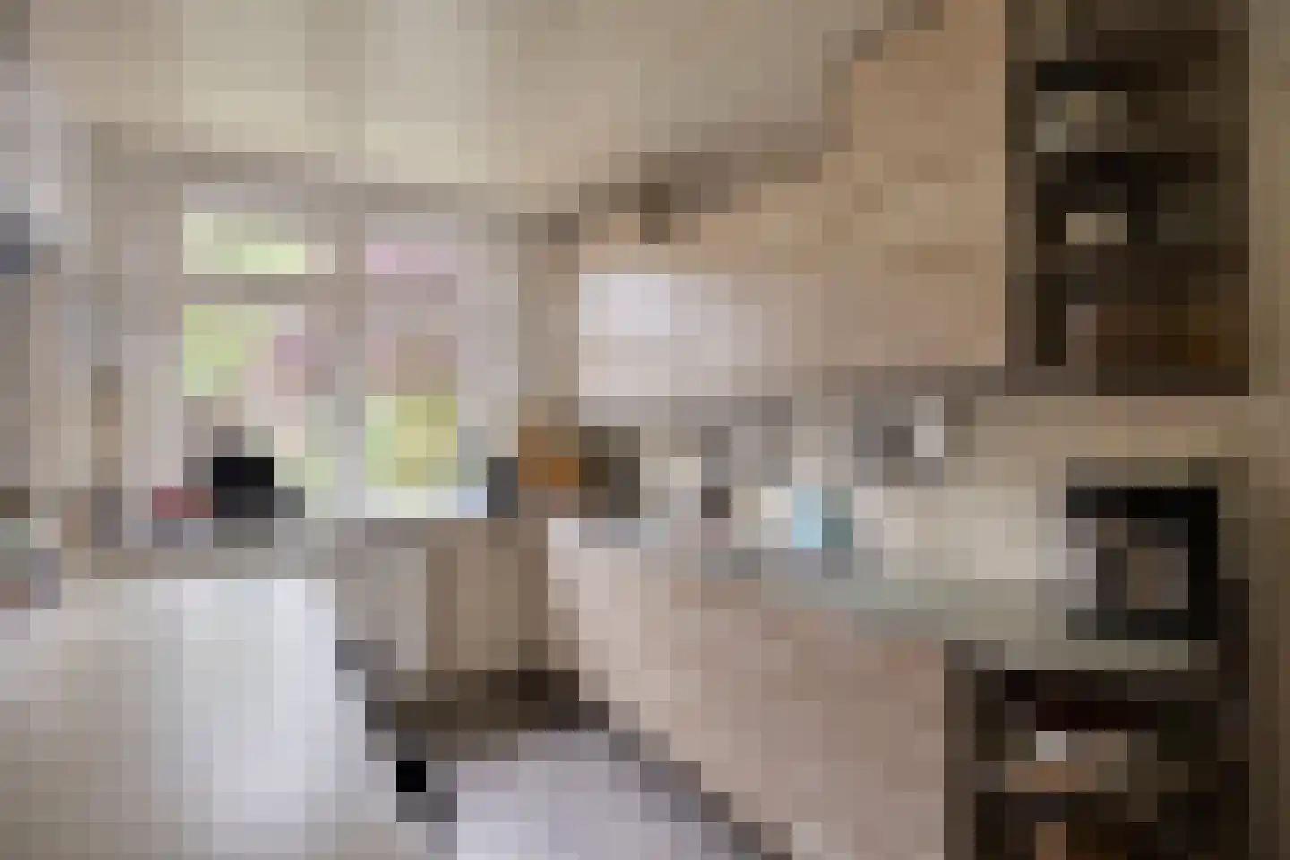 Kleefsestraat 5 Uden thumbnail 9
