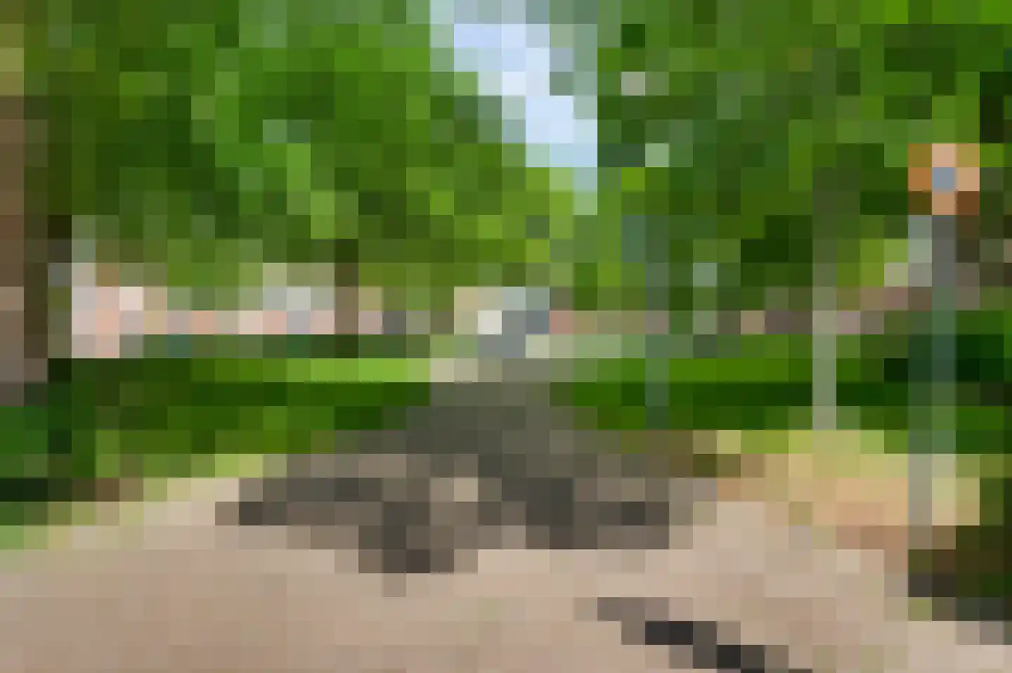 Kleefsestraat 7 Roermond thumbnail 35