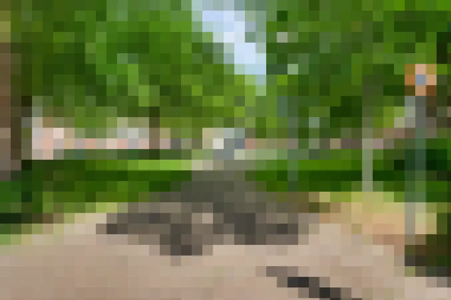 Kleefsestraat 7 Roermond thumbnail 36