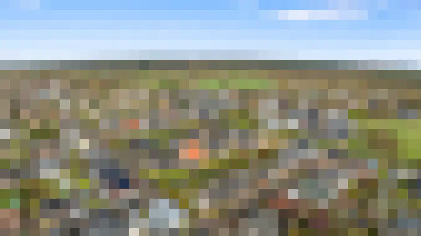 Kleefseweg 1 Ven-Zelderheide thumbnail 75