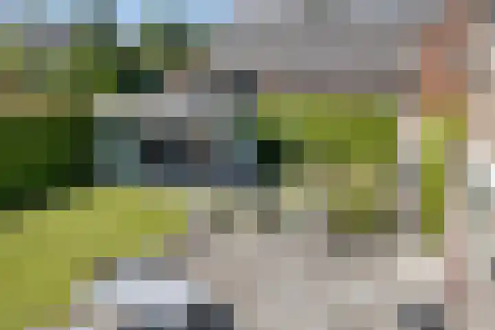 Kleefseweg 54 Ven-Zelderheide thumbnail 31