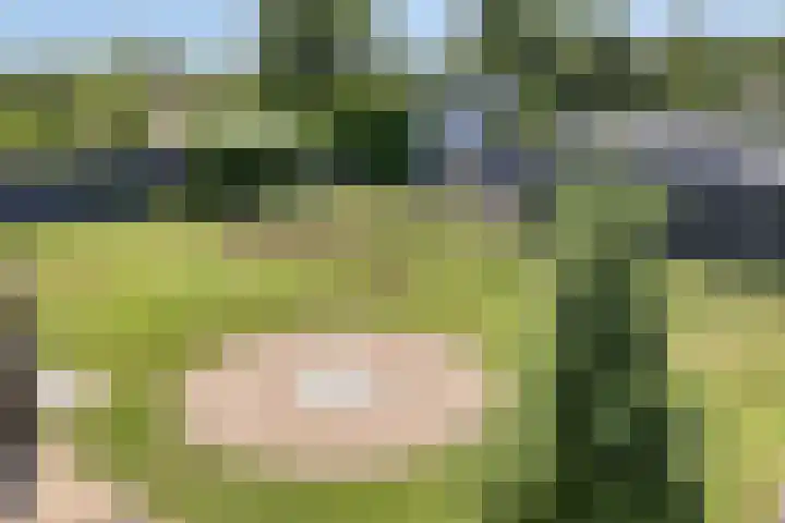 Kleefseweg 54 Ven-Zelderheide thumbnail 47