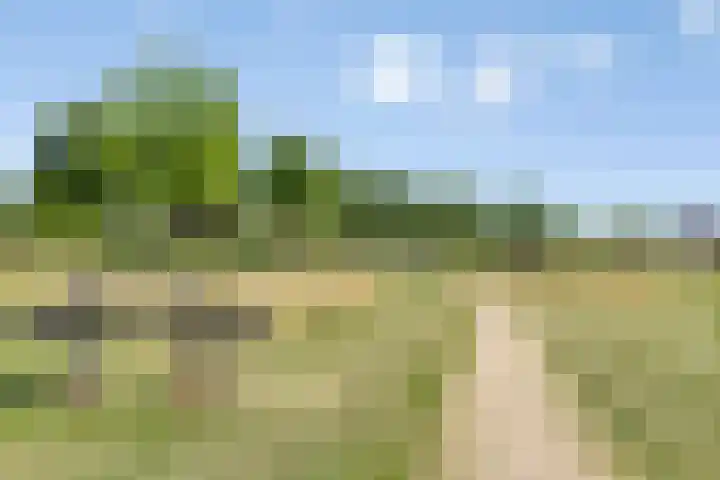 Kleefseweg 54 Ven-Zelderheide thumbnail 53