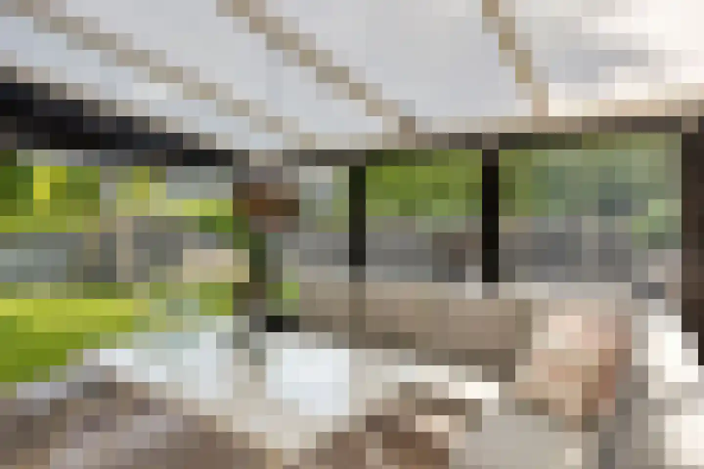 Kleefstraat 17 Bergen L thumbnail 18
