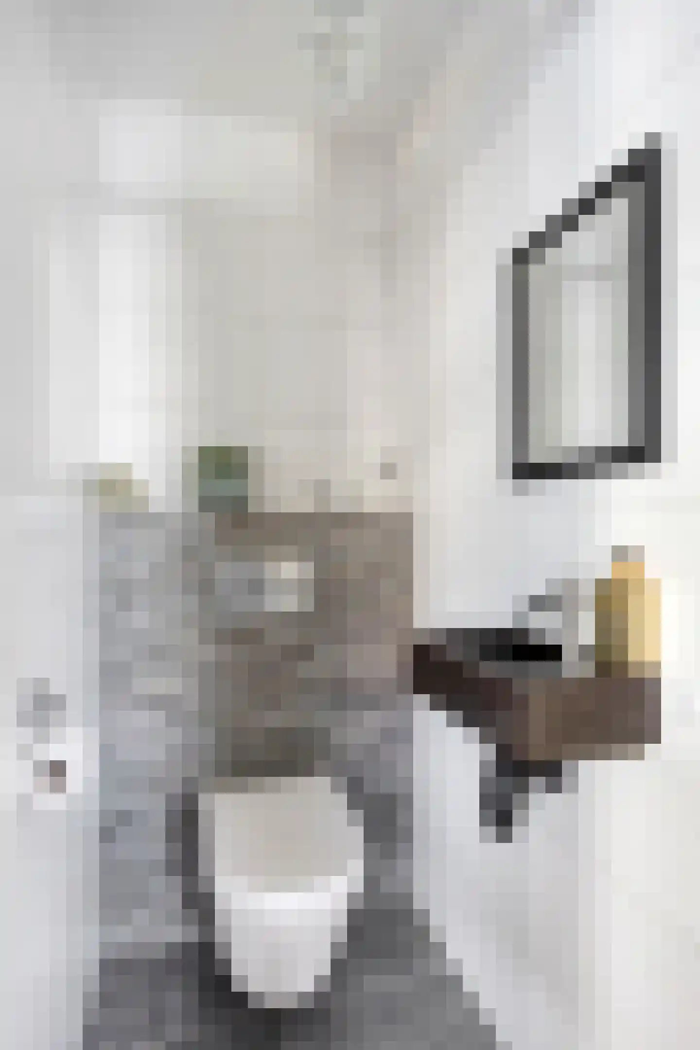 Kleefstraat 17 Bergen L thumbnail 8