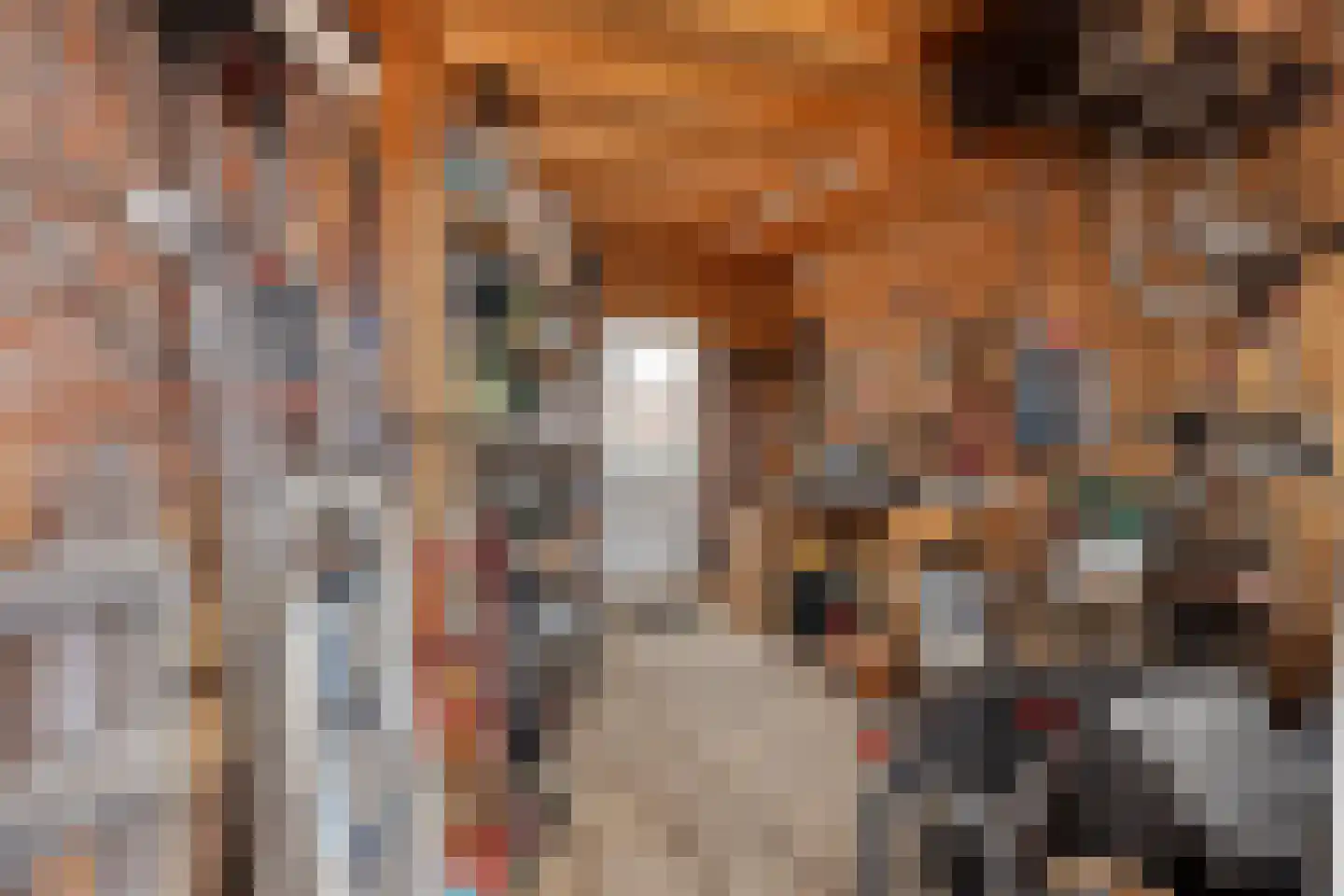 Kleefstraat 33 Echt thumbnail 23