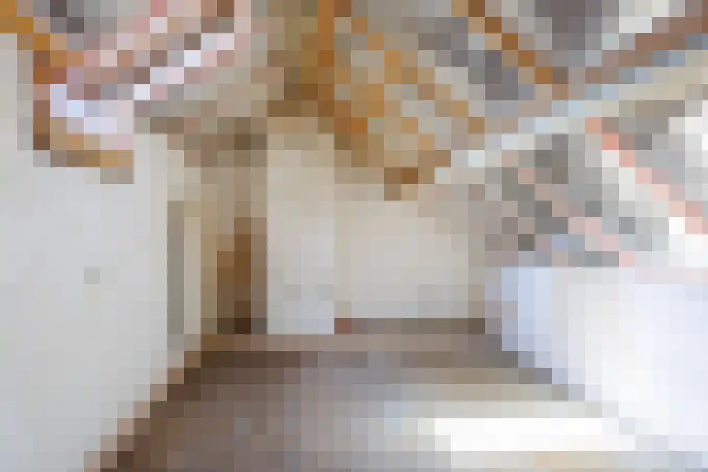 Kleefstraat 37 Bergen L thumbnail 31