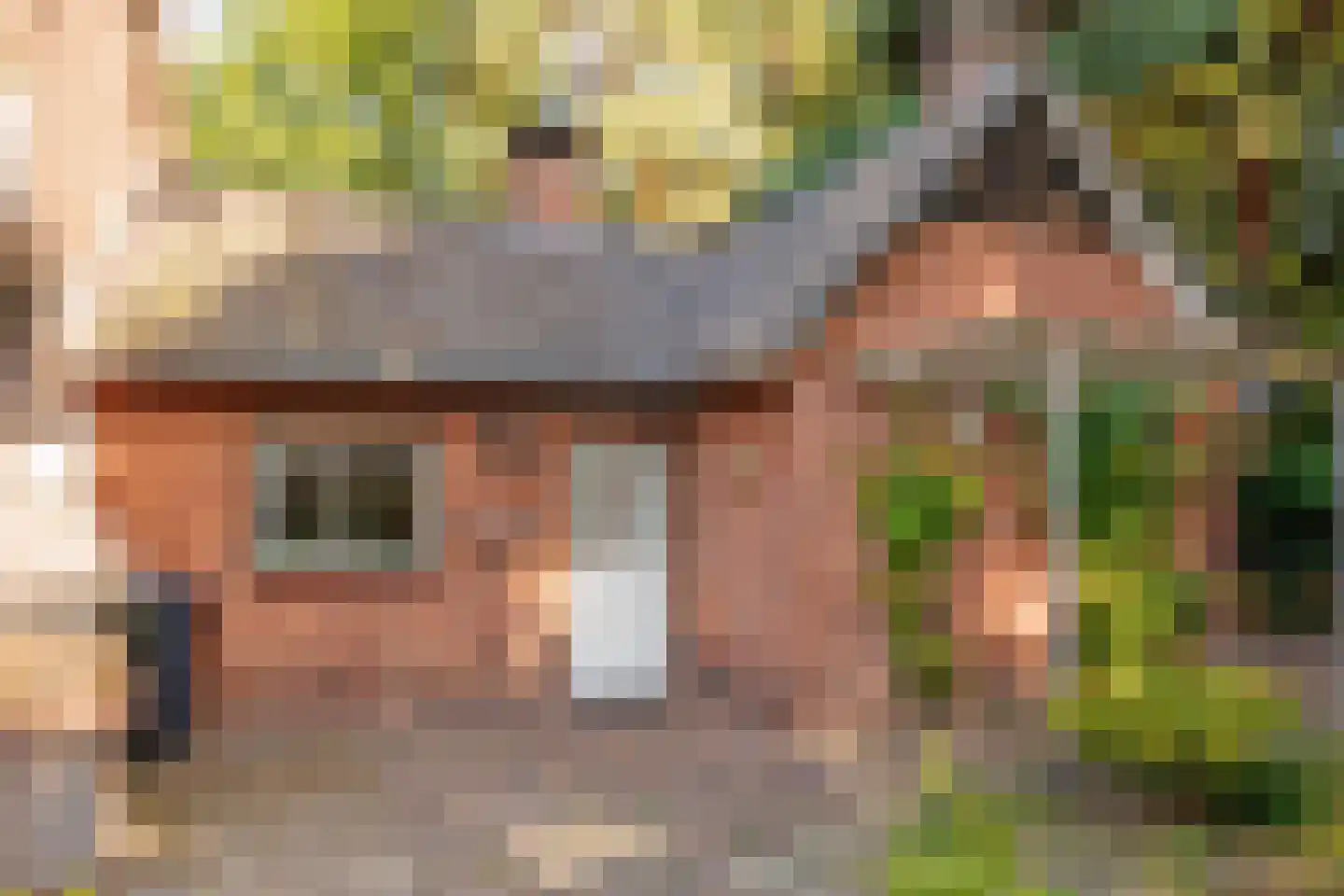 Kleefstraat 37 Bergen L thumbnail 33