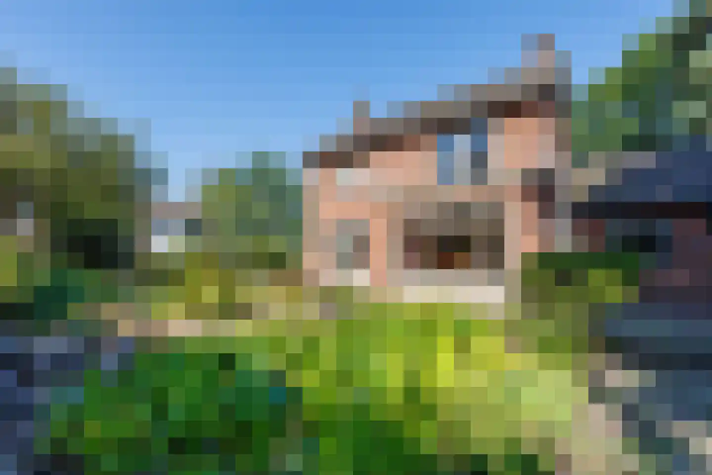 Kleefstraat 37 Bergen L thumbnail 34