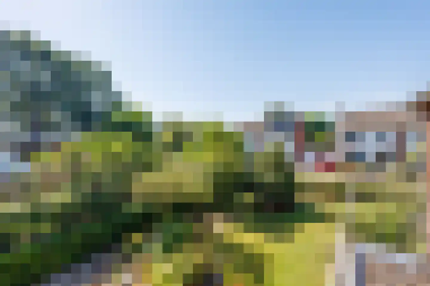 Kleefstraat 37 Bergen L thumbnail 39