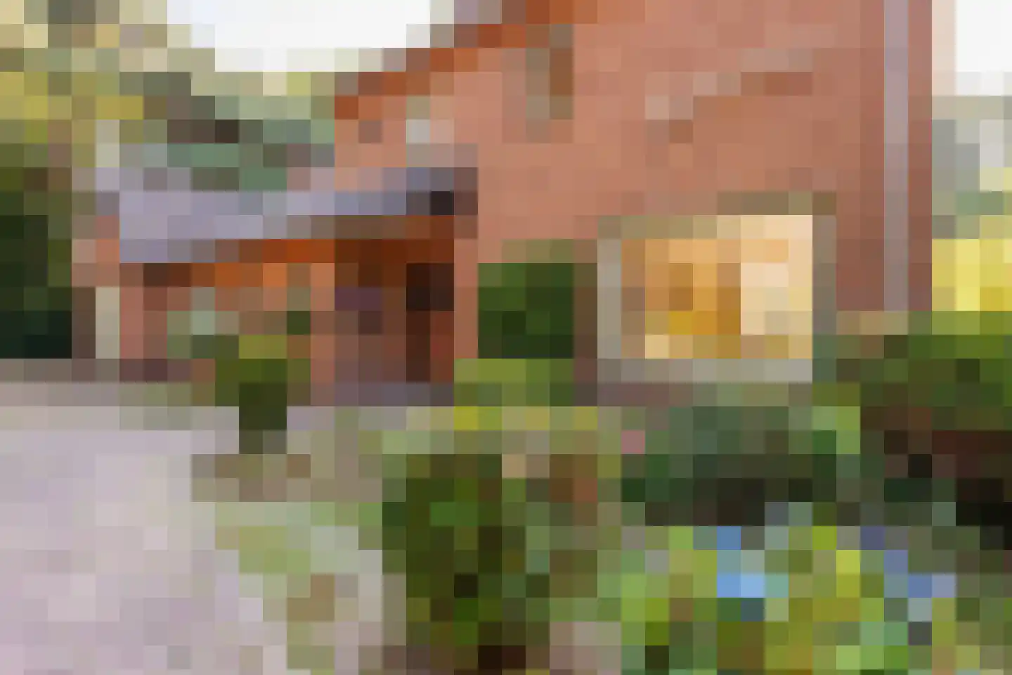 Kleefstraat 37 Bergen L thumbnail 48