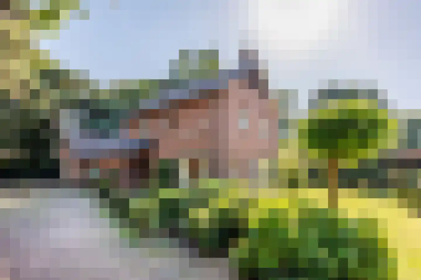 Kleefstraat 37 Bergen L thumbnail 50