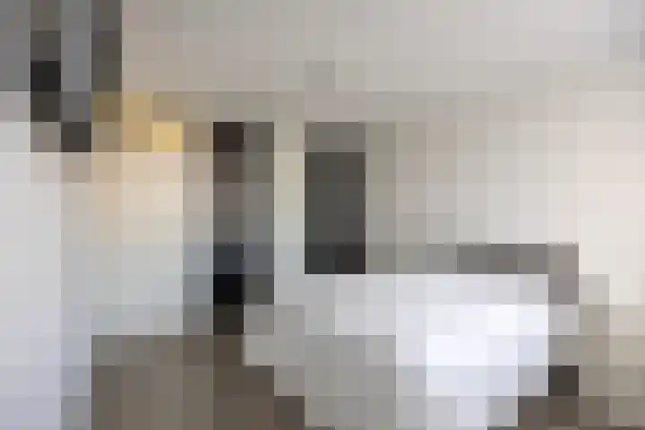 Kleefstraat 40 Echt thumbnail 22