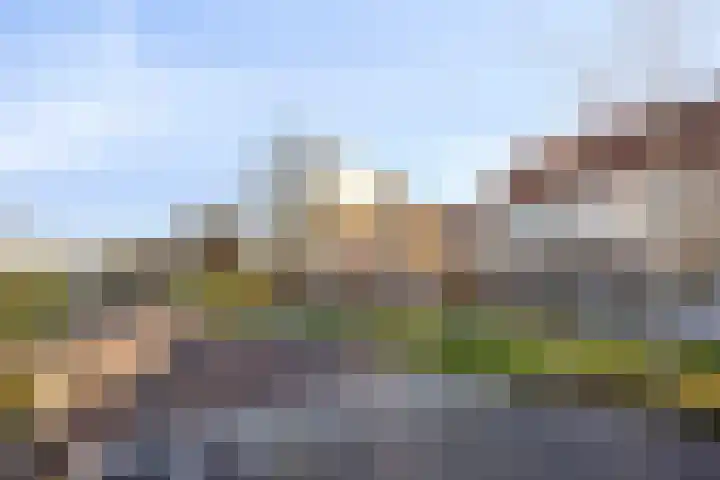 Kleefstraat 40 Echt thumbnail 37