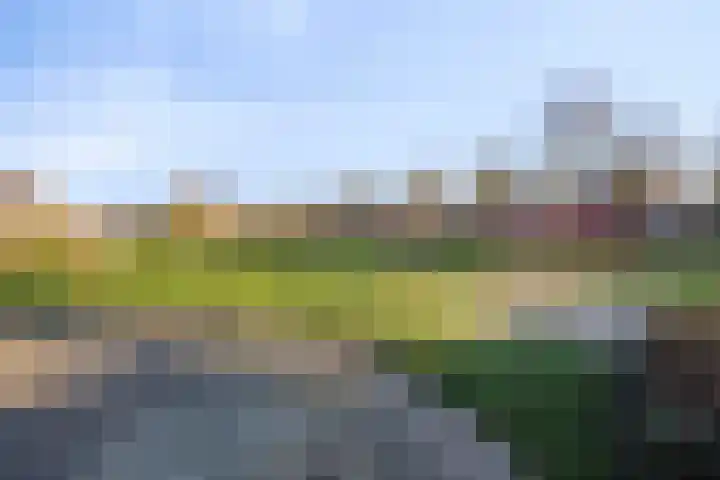 Kleefstraat 40 Echt thumbnail 38