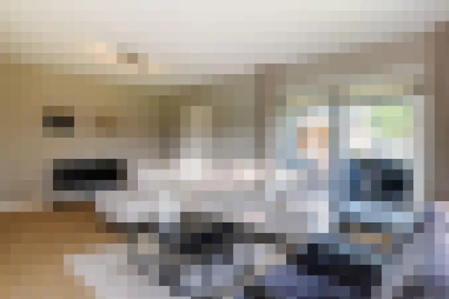 Kleen-Esch 31 Hoge Hexel thumbnail 11