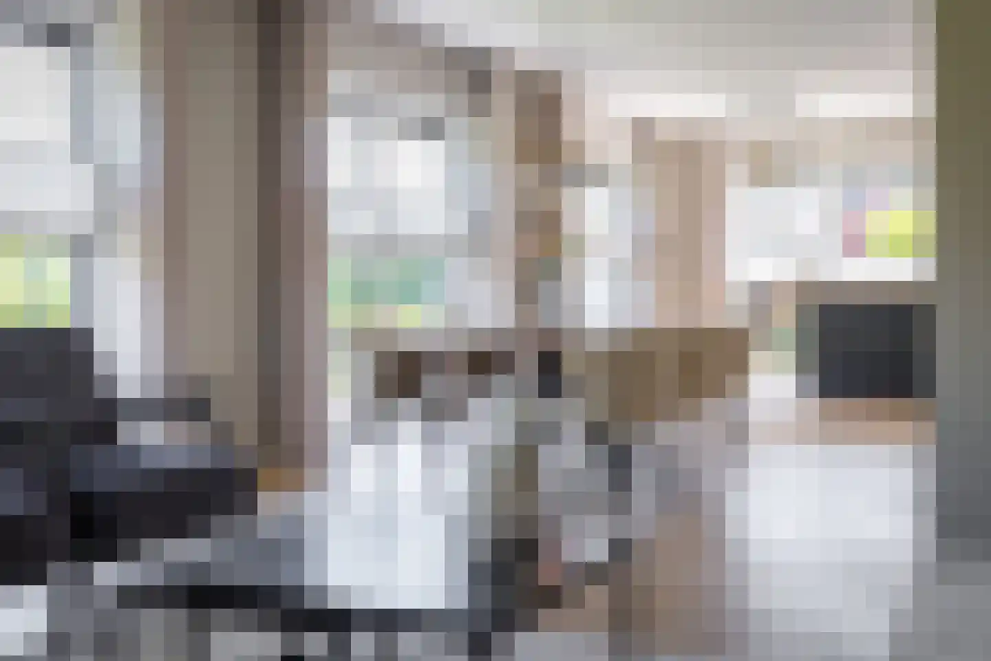 Kleen-Esch 31 Hoge Hexel thumbnail 14