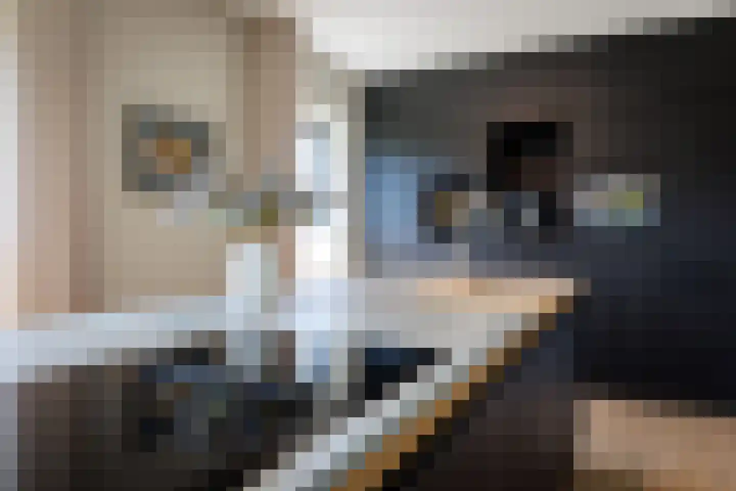 Kleen-Esch 31 Hoge Hexel thumbnail 20