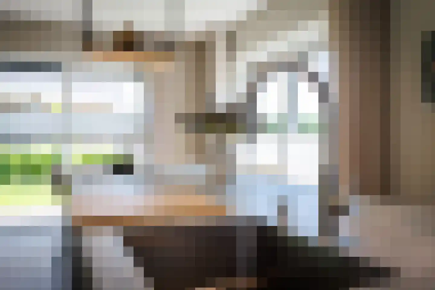Kleen-Esch 31 Hoge Hexel thumbnail 22
