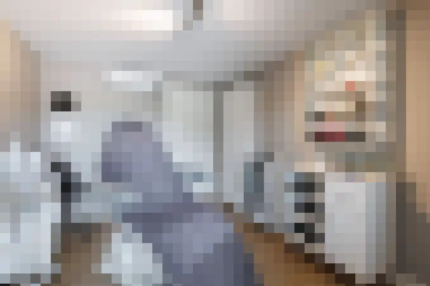 Kleen-Esch 31 Hoge Hexel thumbnail 32