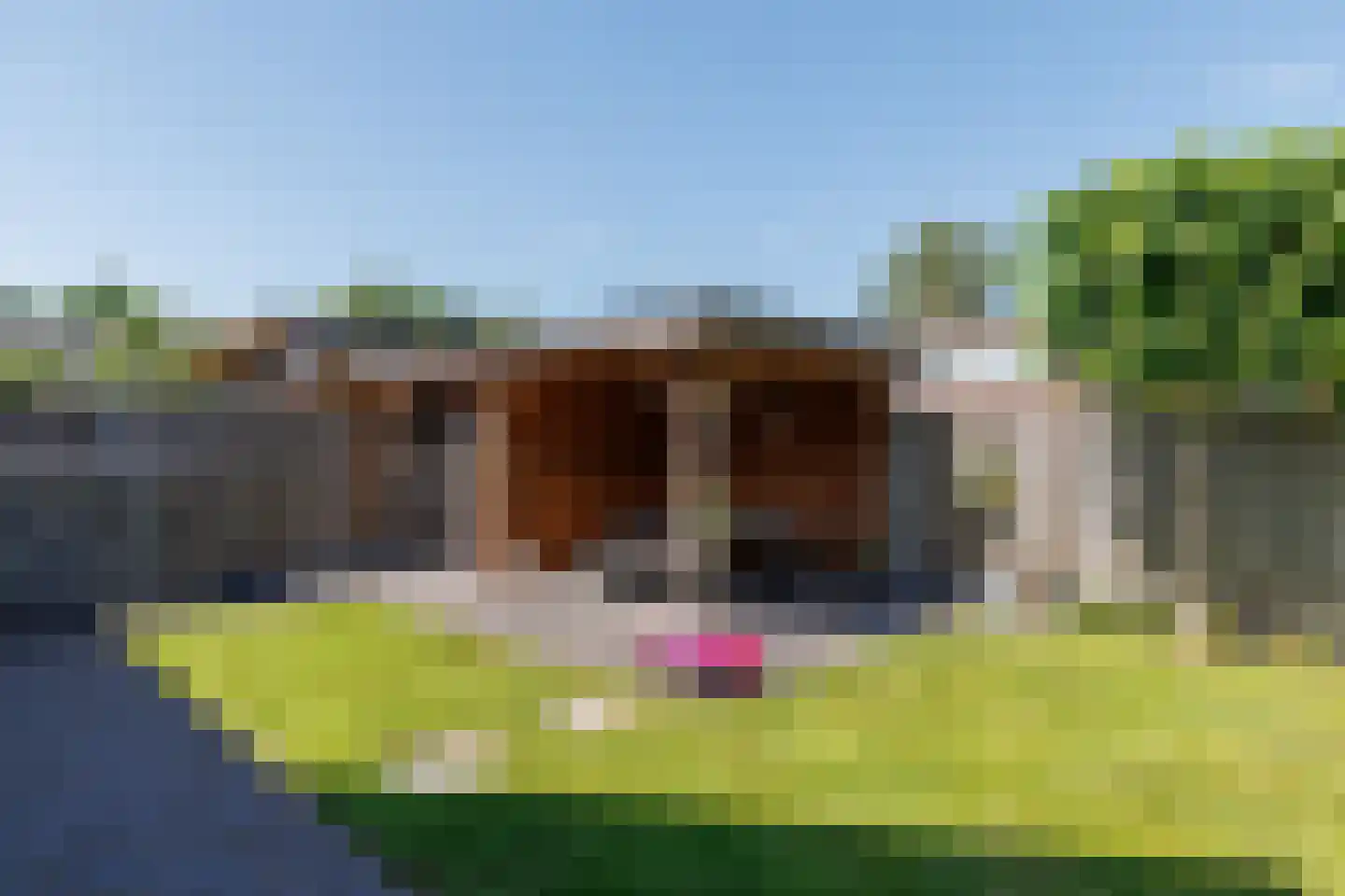 Kleen-Esch 31 Hoge Hexel thumbnail 53