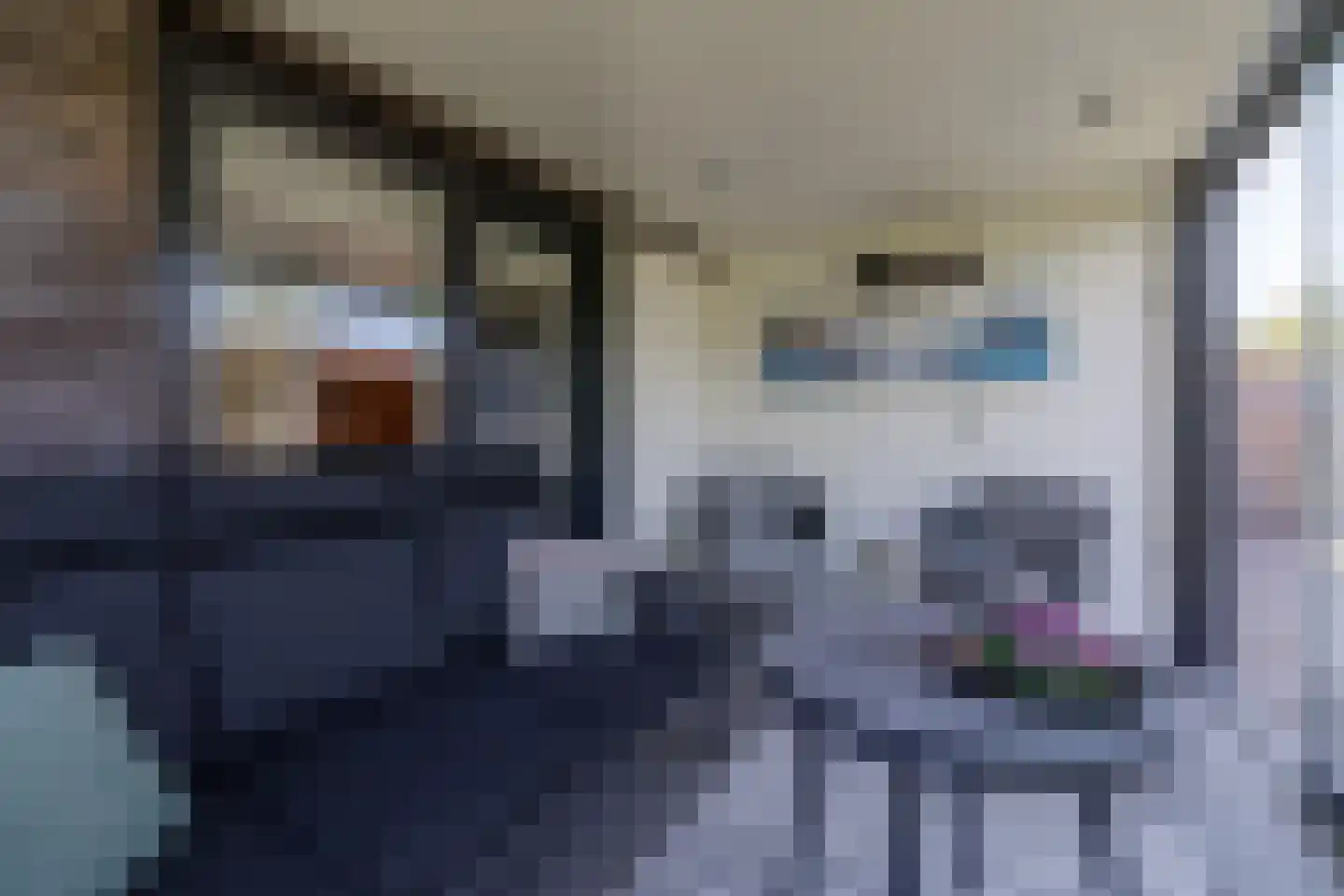 Kleen-Esch 31 Hoge Hexel thumbnail 58