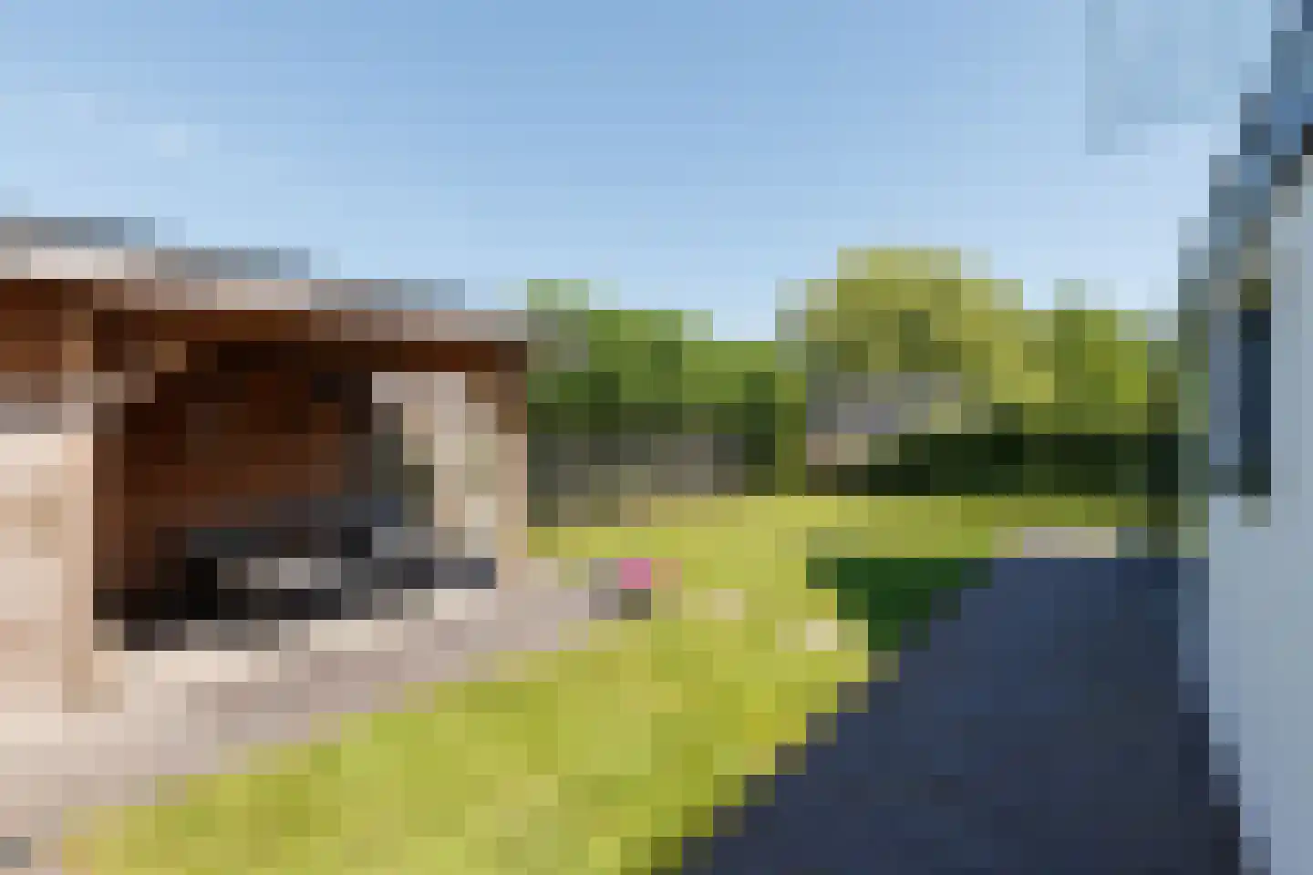 Kleen-Esch 31 Hoge Hexel thumbnail 61