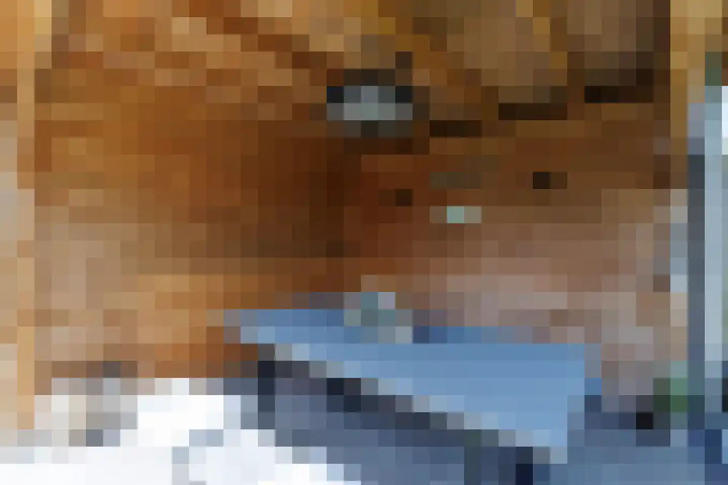 Kleen-Esch 31 Hoge Hexel thumbnail 62