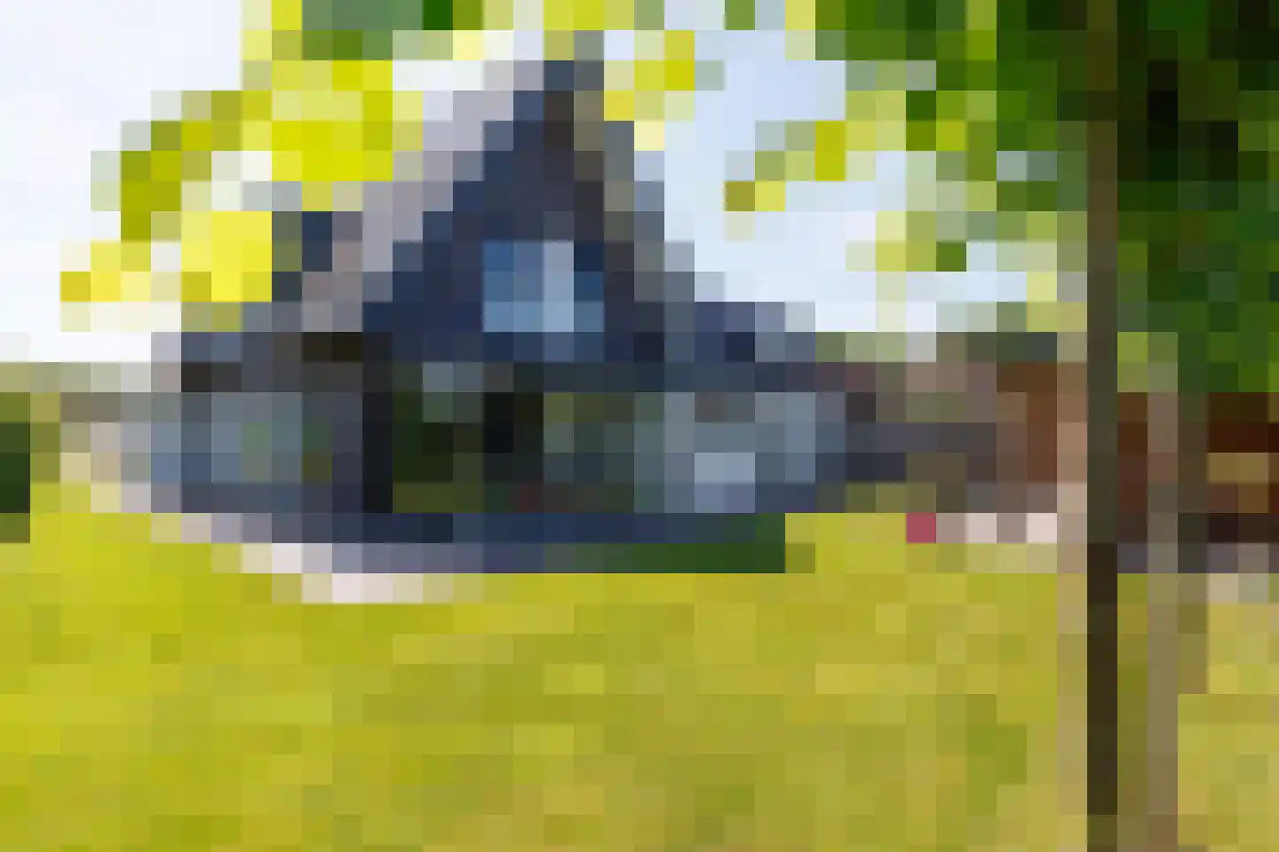 Kleen-Esch 31 Hoge Hexel thumbnail 64