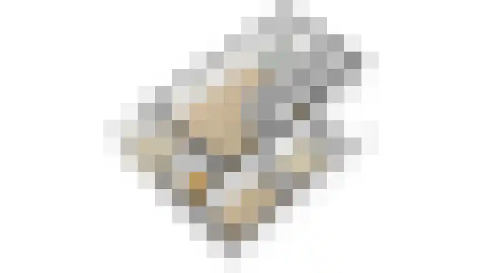 Kleen-Esch 31 Hoge Hexel thumbnail 67