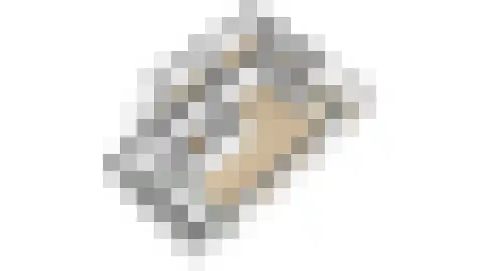 Kleen-Esch 31 Hoge Hexel thumbnail 68