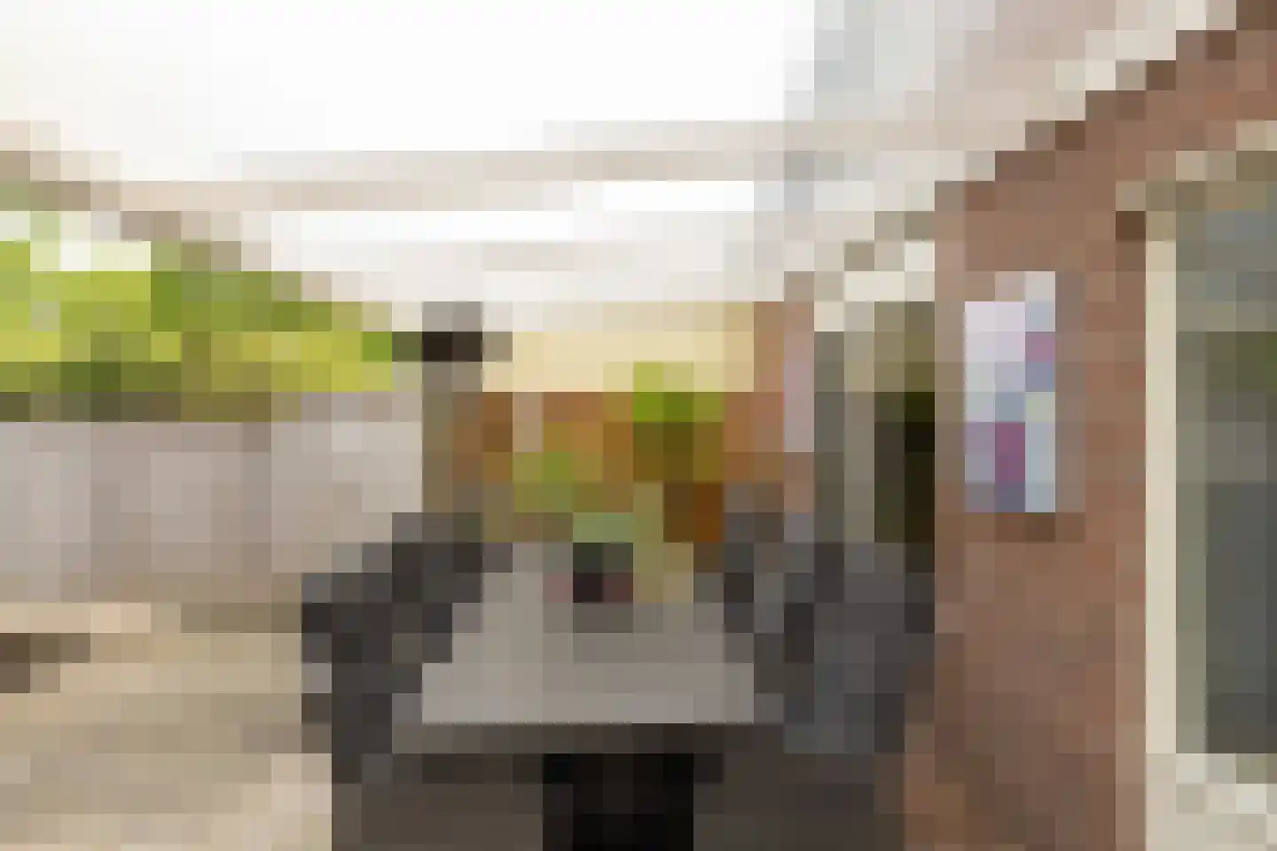 Kleermaker 50 Groenlo thumbnail 30