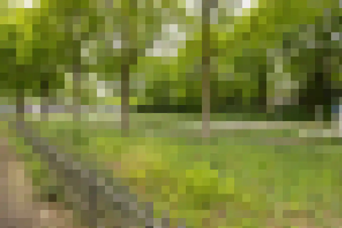 Kleermaker 50 Groenlo thumbnail 36