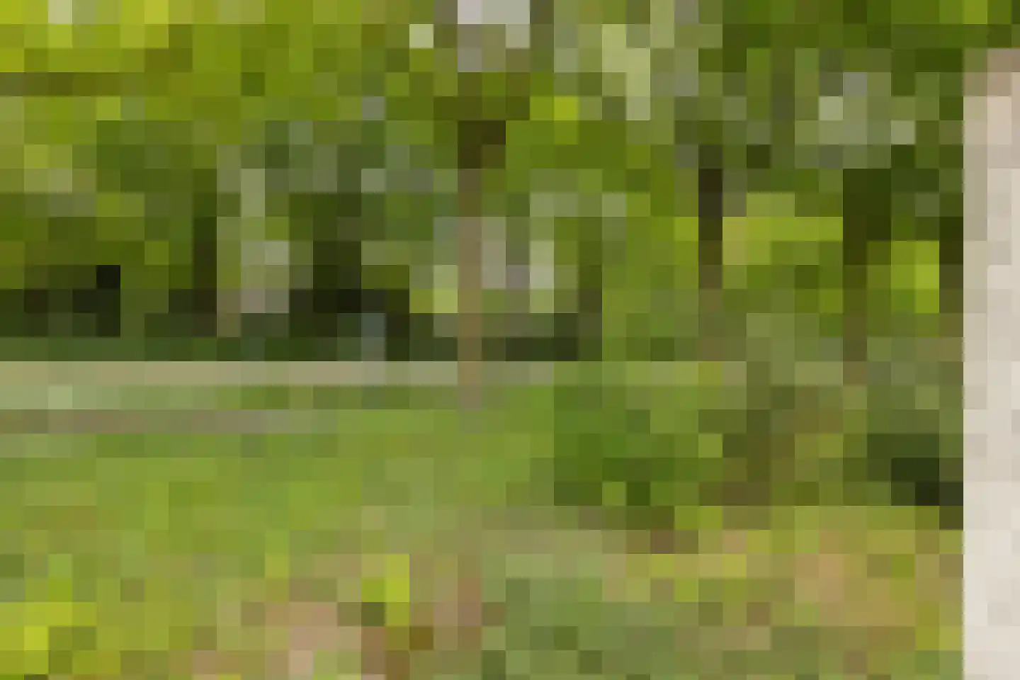 Kleermaker 50 Groenlo thumbnail 37