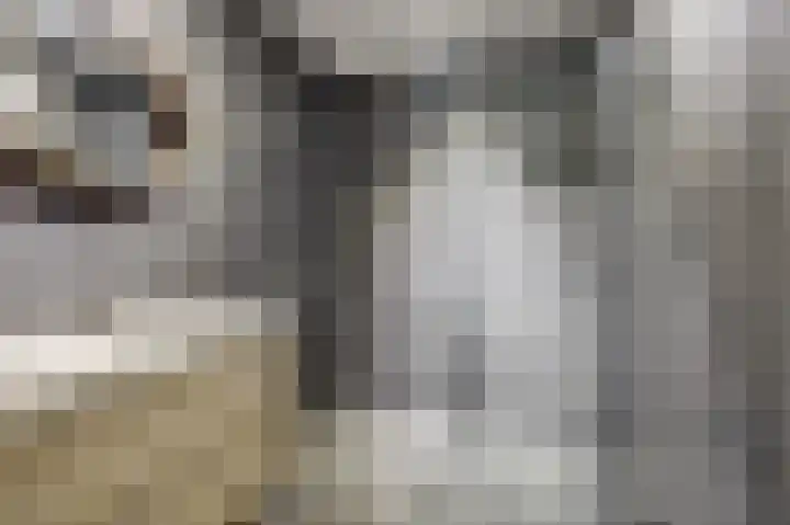 Kleermakersgilde 113 Dronten thumbnail 4