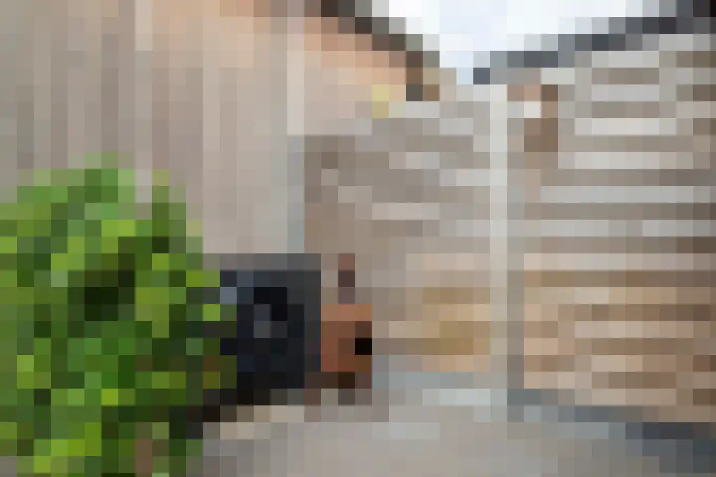 Kleermakersgilde 19 Hasselt thumbnail 33