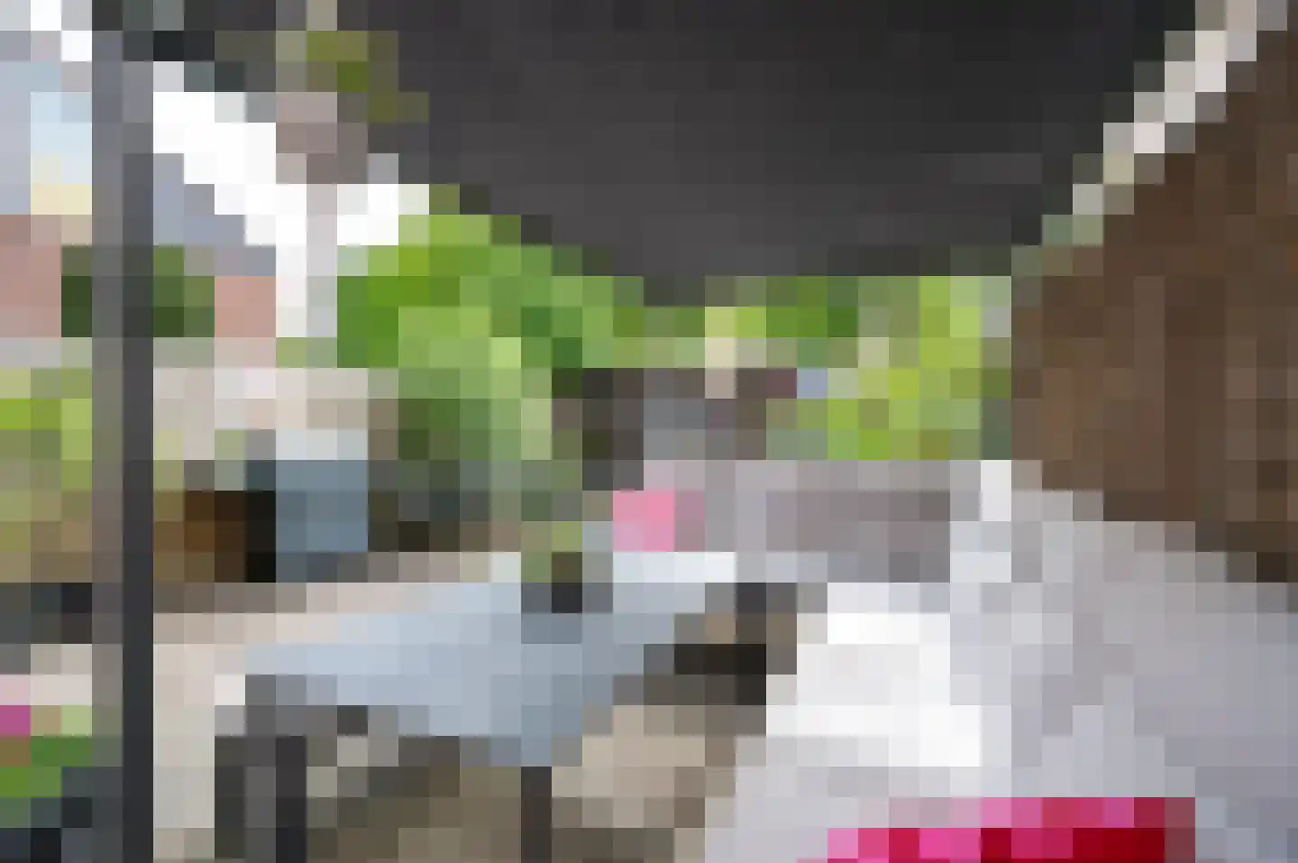 Kleersnijdershorst 32 Apeldoorn thumbnail 21