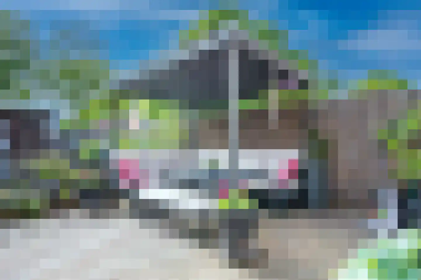 Kleersnijdershorst 32 Apeldoorn thumbnail 4