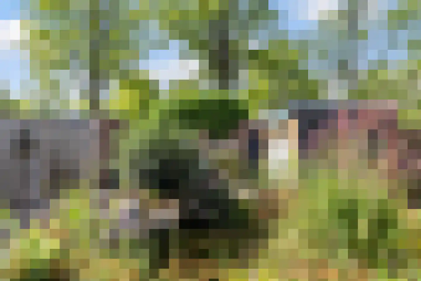 Kleersnijdershorst 5 Apeldoorn thumbnail 20