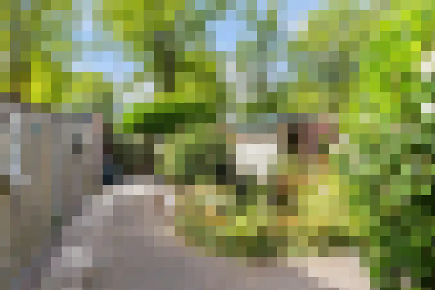 Kleersnijdershorst 5 Apeldoorn thumbnail 21