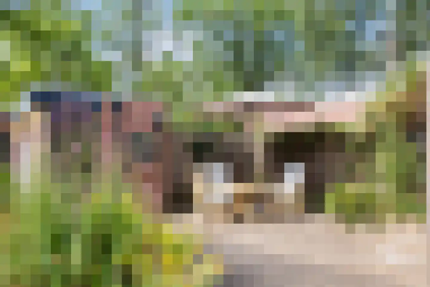 Kleersnijdershorst 5 Apeldoorn thumbnail 24
