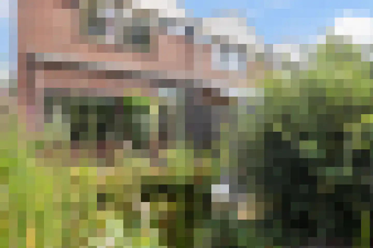 Kleersnijdershorst 5 Apeldoorn thumbnail 29